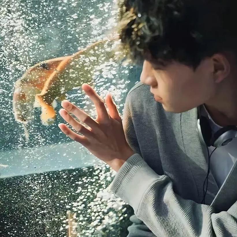 最爱、炸鸡汉堡