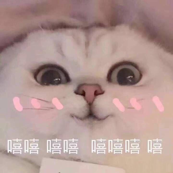 总是被人骗