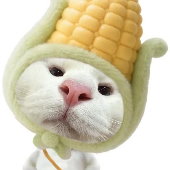 闷烧老玉米🌽
