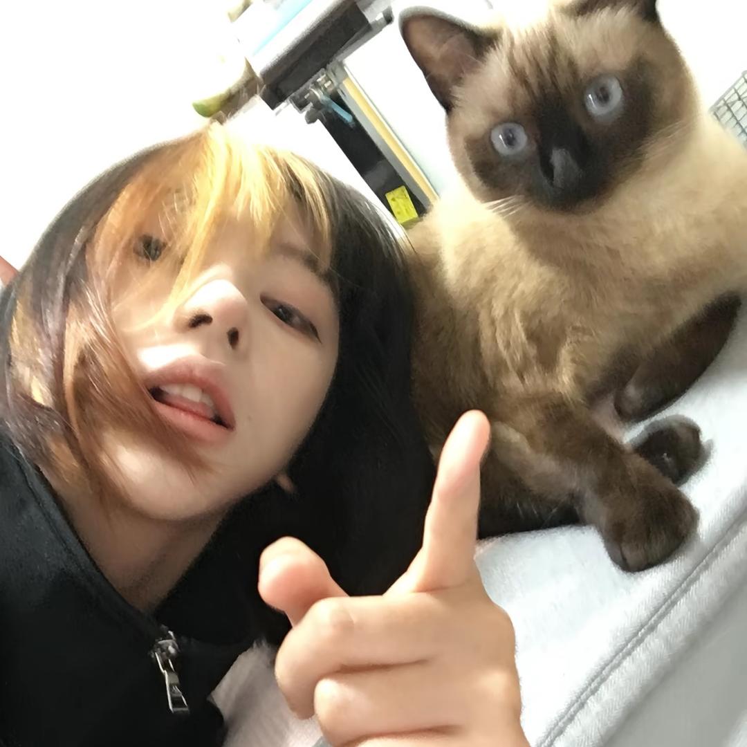 二八228