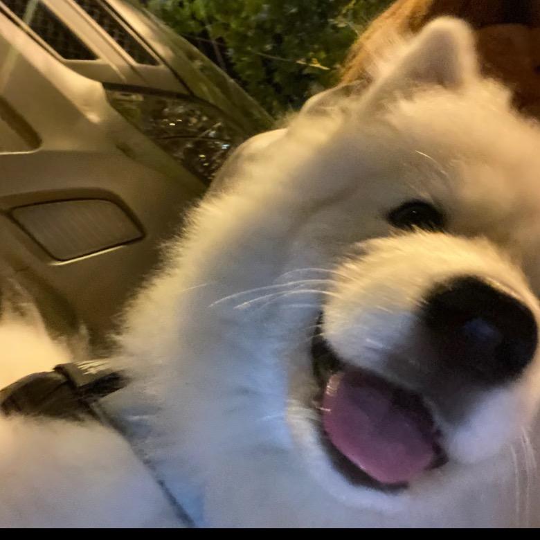 咕噜佳