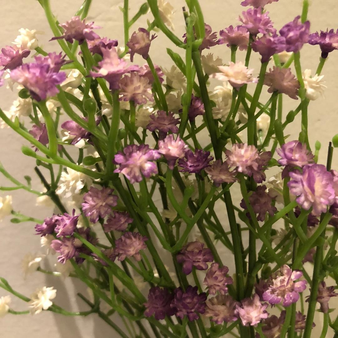 努力努力永不放弃