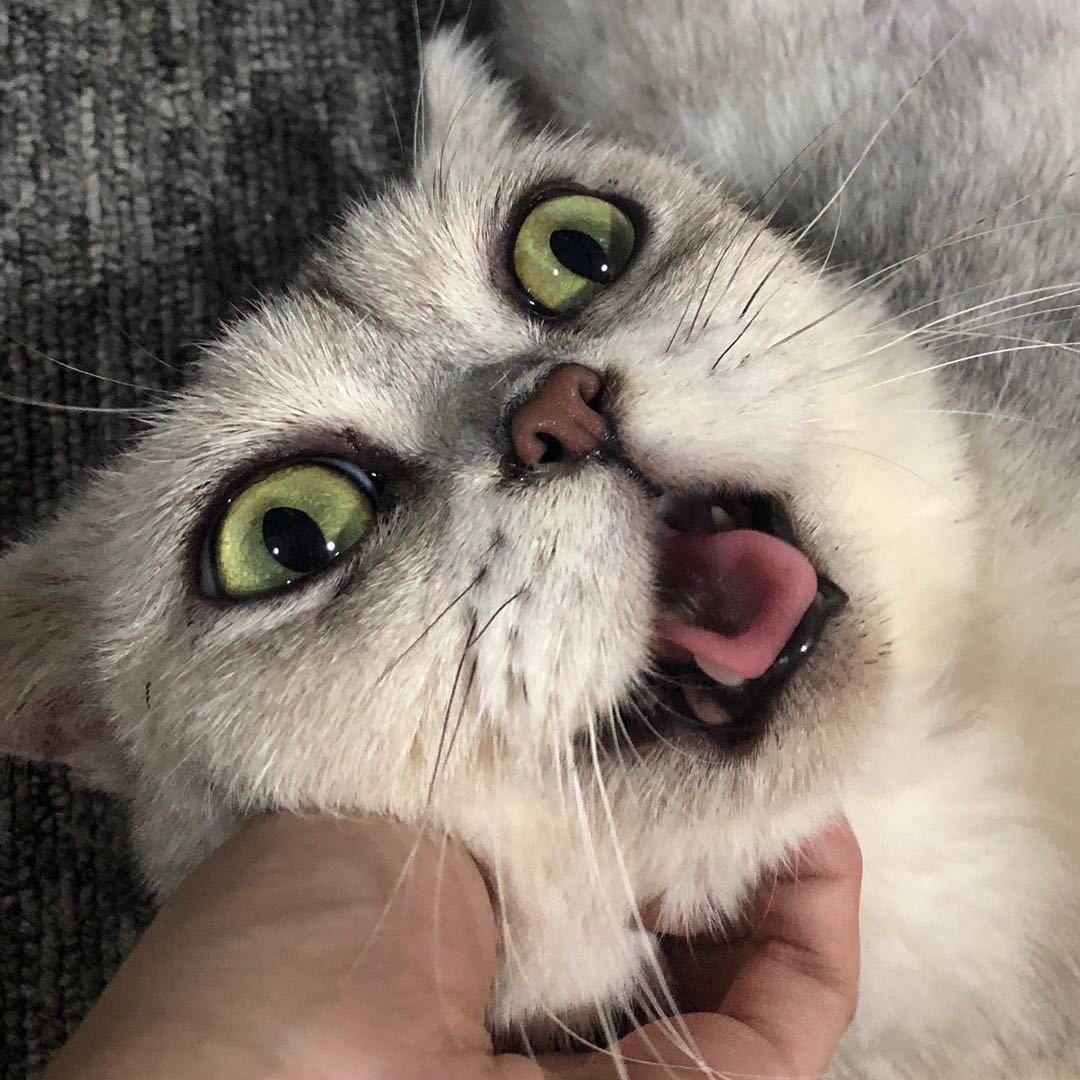 sss