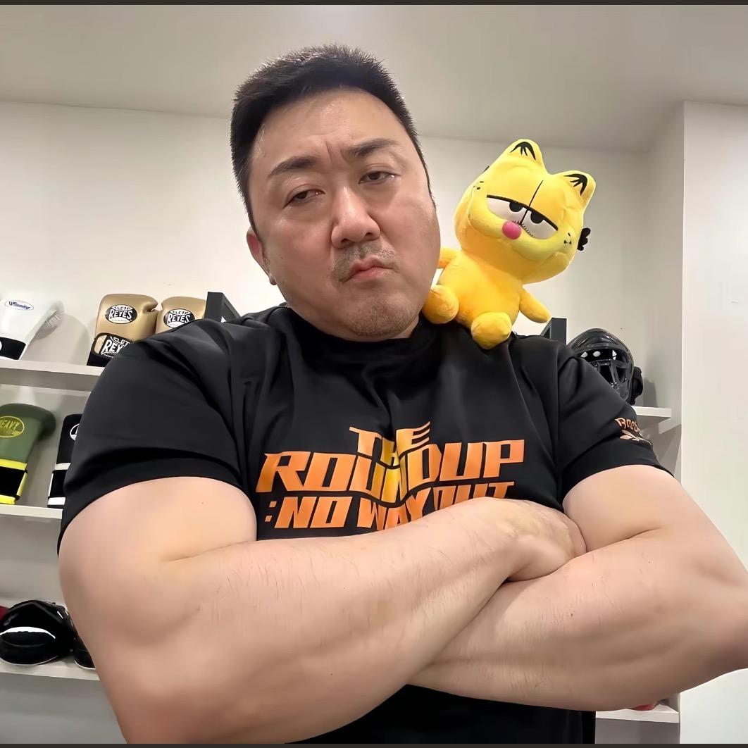 小杨不是羊