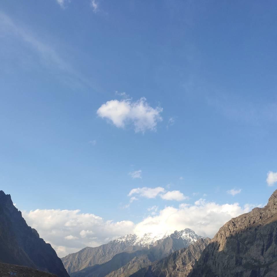 手心里的温柔