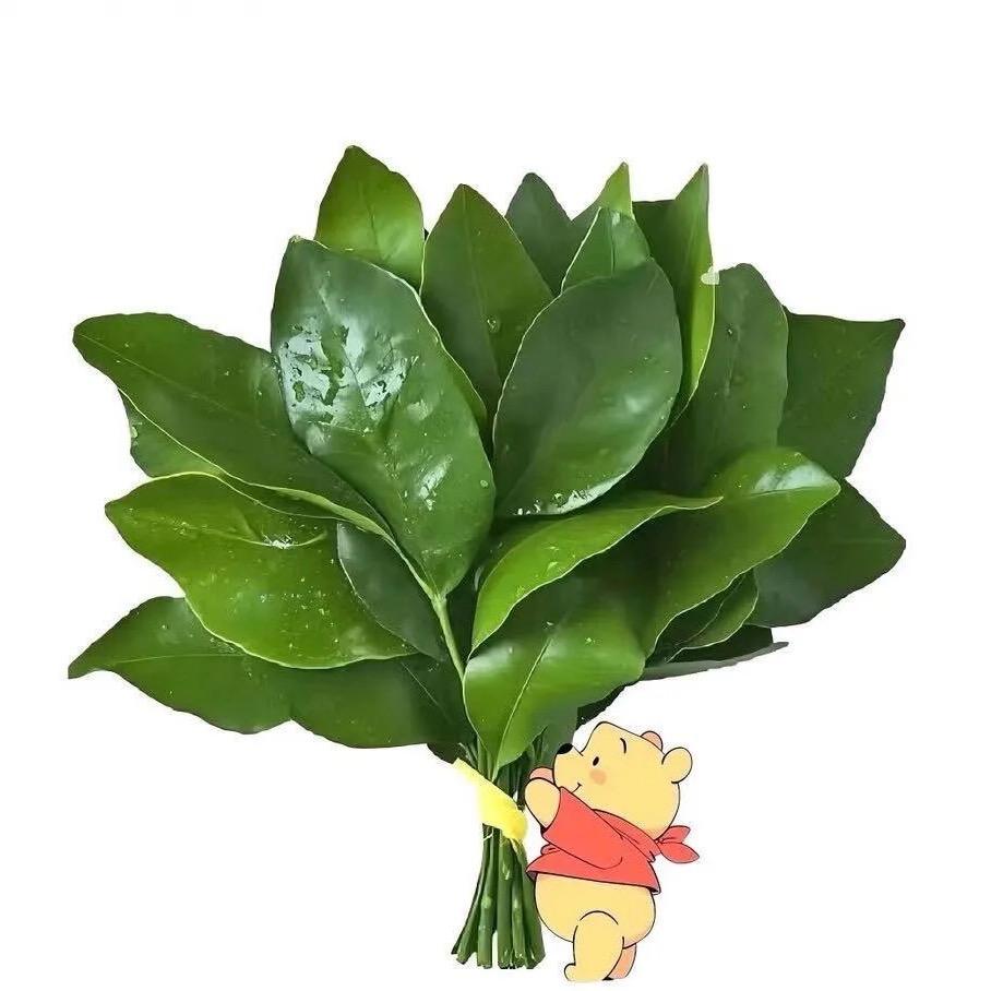 小孫