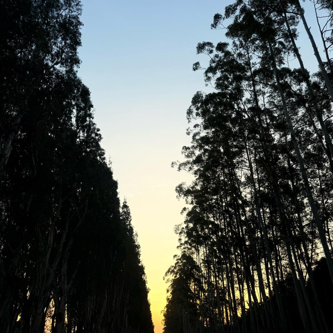 小壮锅
