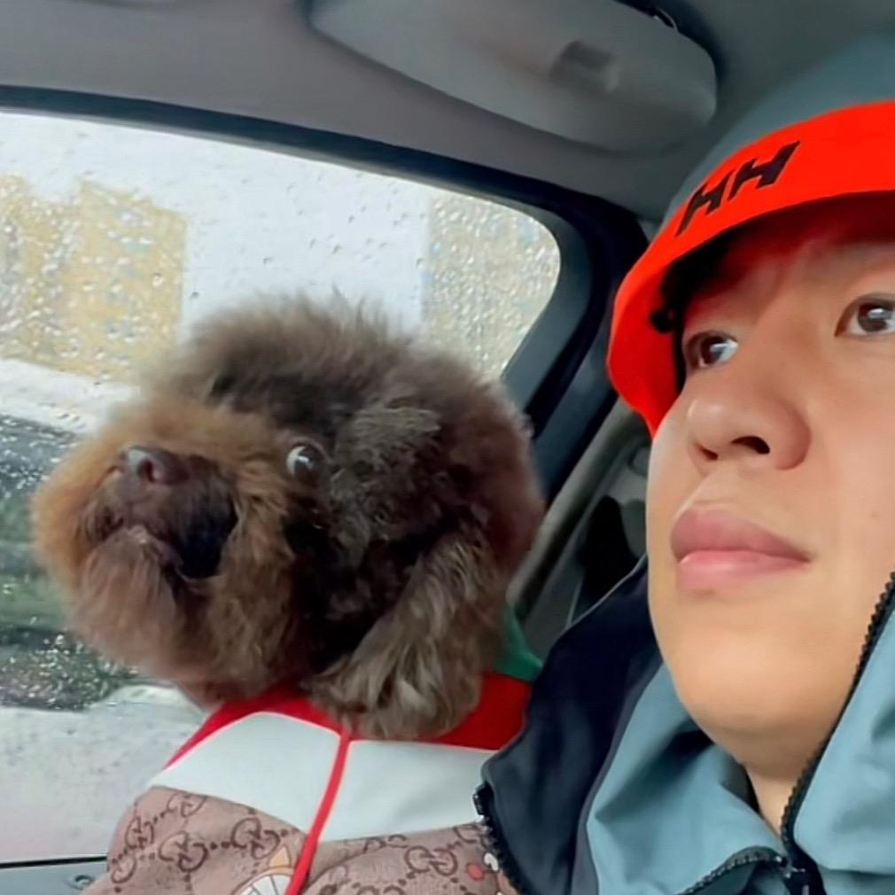 🫥阿宝和阿贵要去阿里