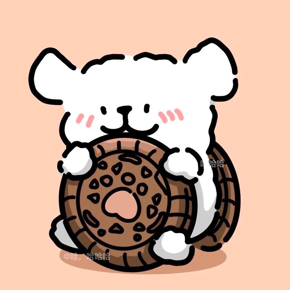 敏感易碎小饼干🍪