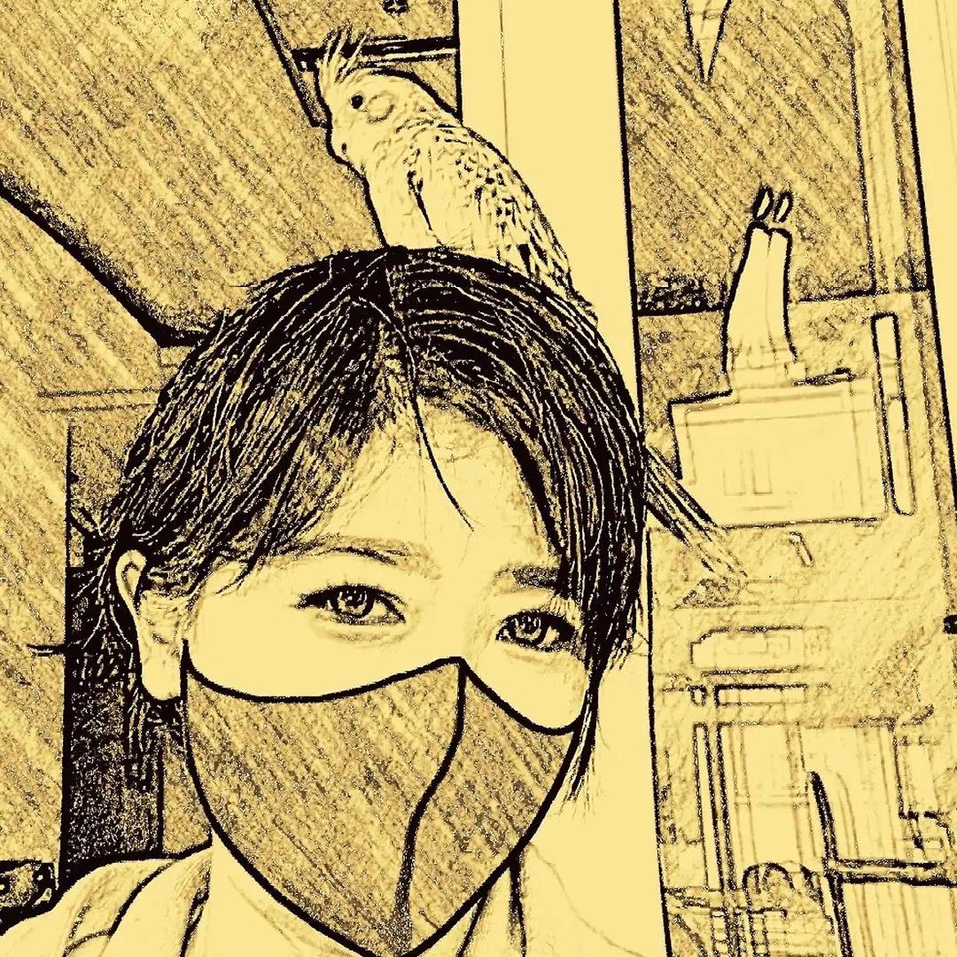 凤宝来啦