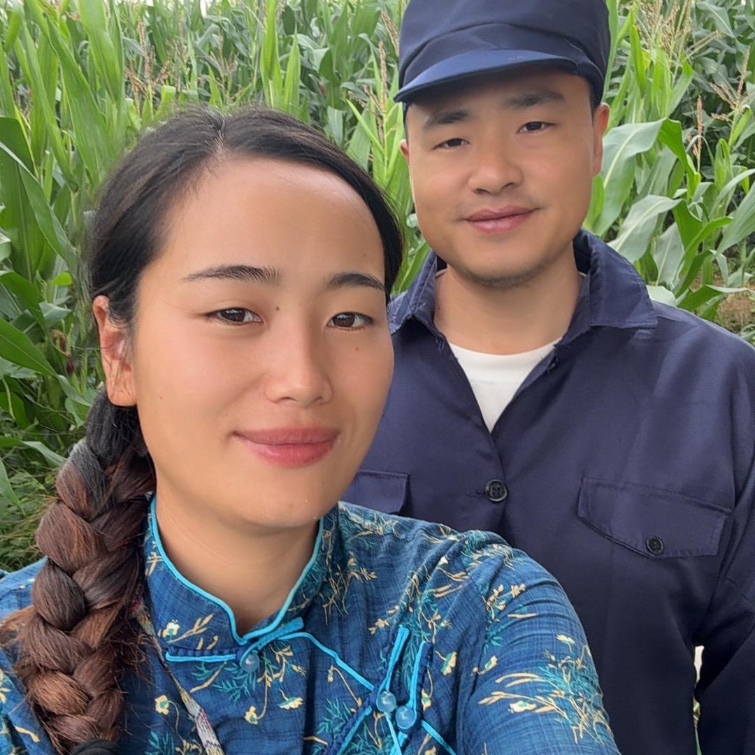 白杨树与宗钉钉
