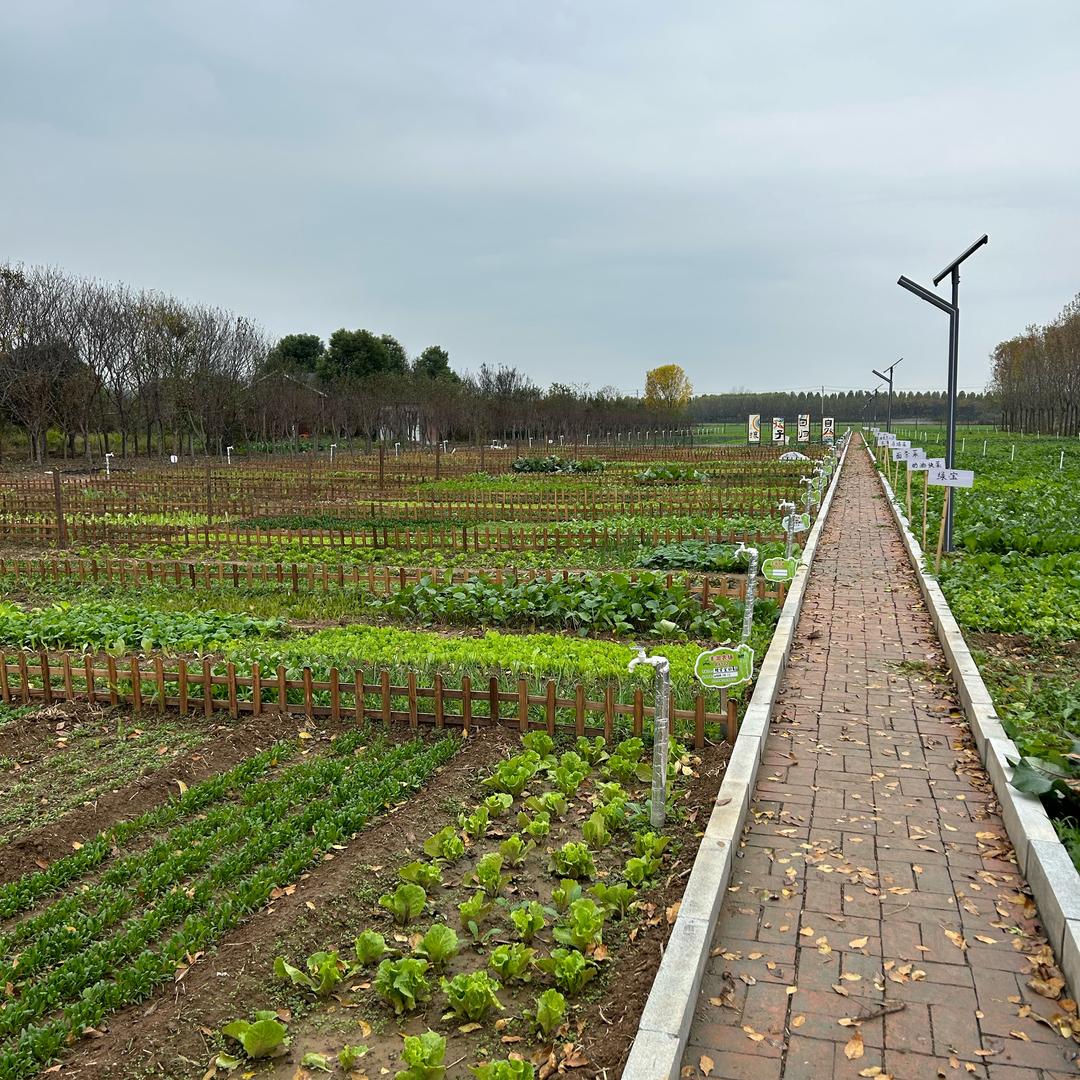 西平小孟——丰润共享家庭农场