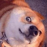 砚山无人机打药  小旋疯