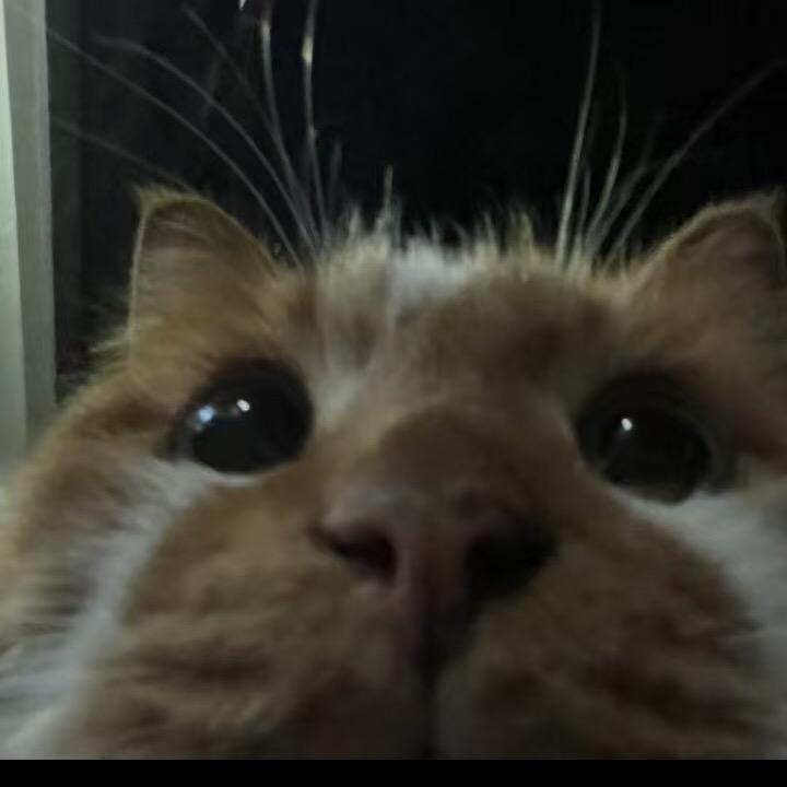 不减肥不吃土豆丝