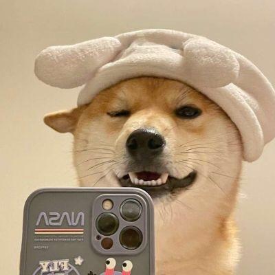 凤梧