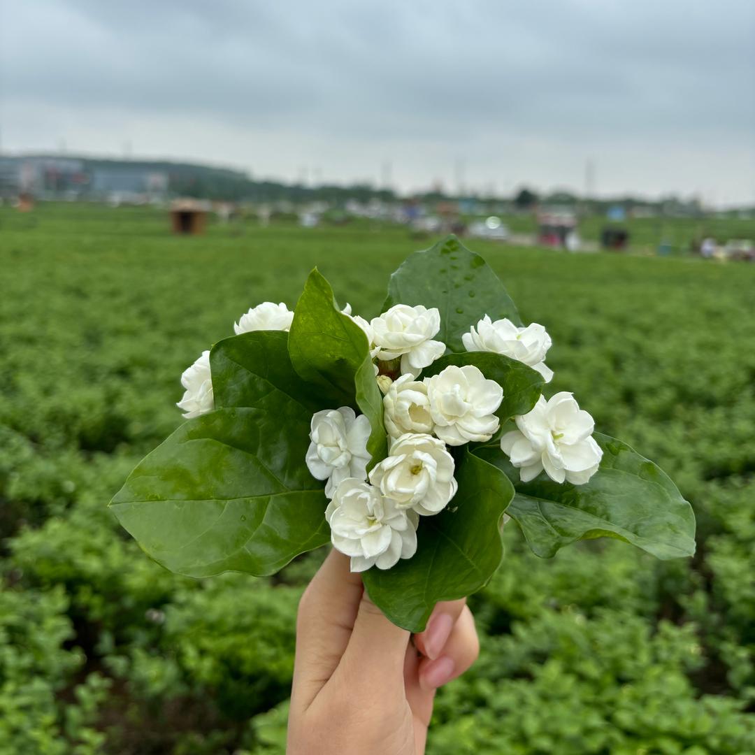 小懒同学🤓