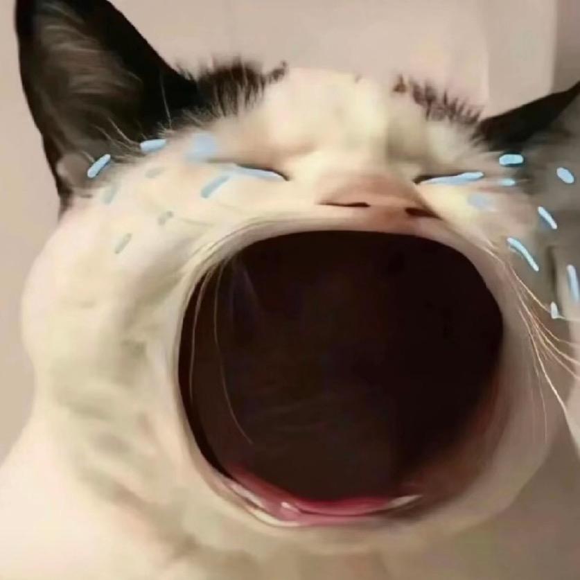 什么是ˡᵒᵛᵉ