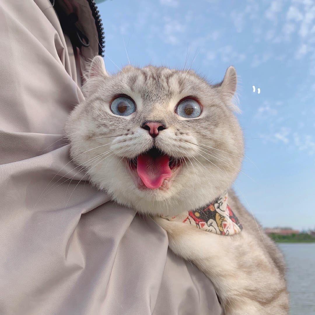 不吃辣！