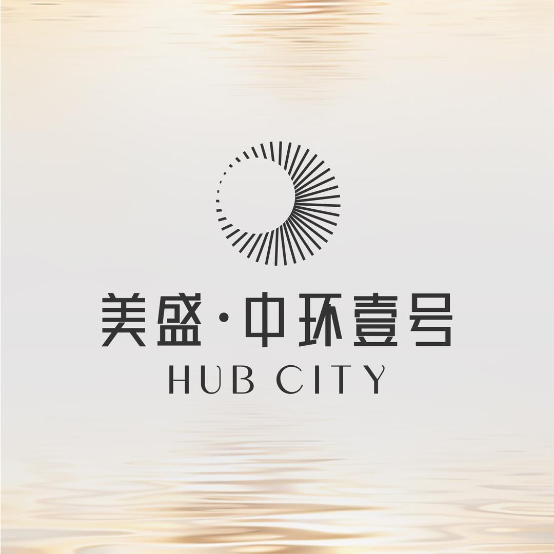 美盛中环壹号董洁