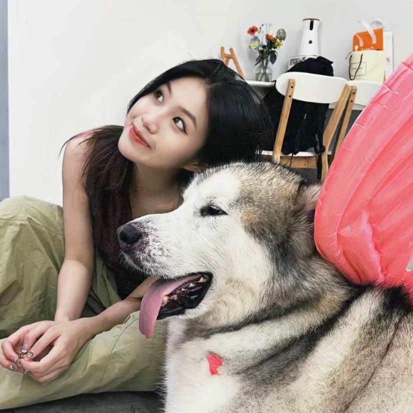 Zyyy