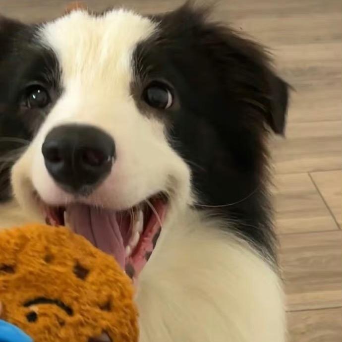 大口吃肉（接稿版）