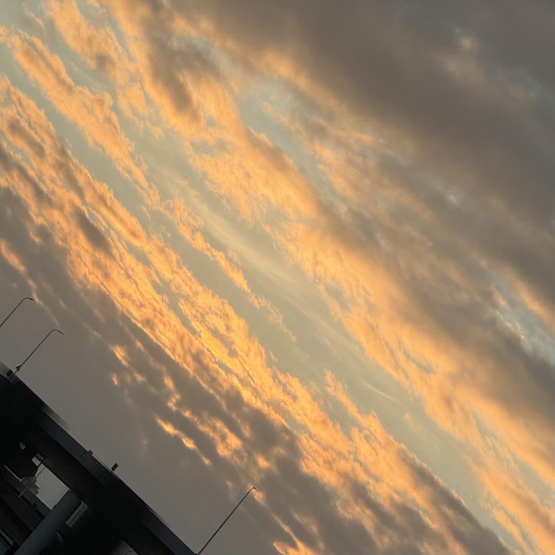 满天星好物