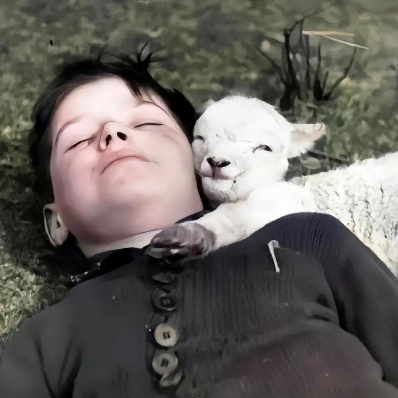 今晚打老虎ㅤㅤㅤㅤㅤㅤㅤ