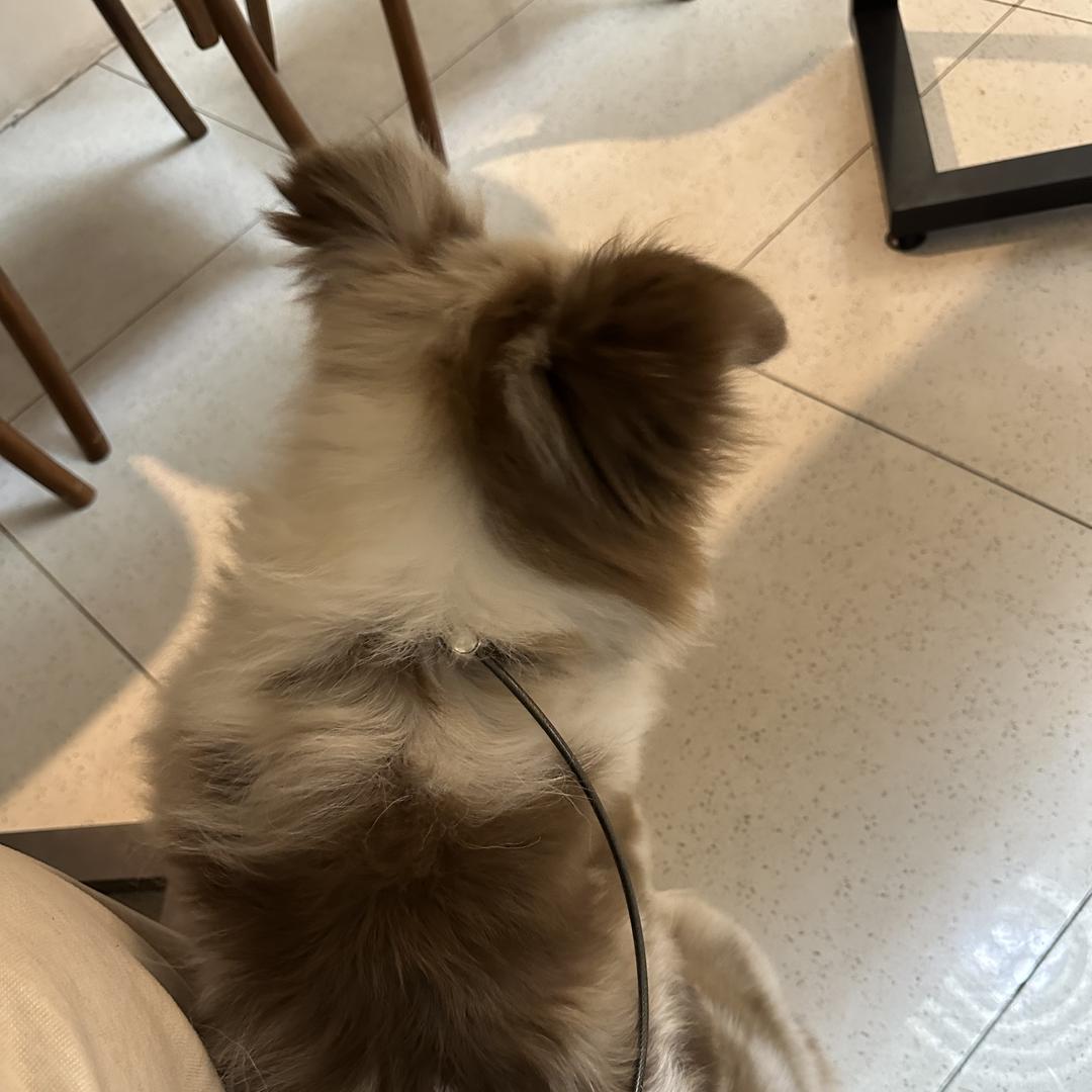 思澄生活优品