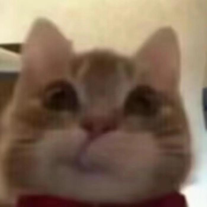 无事小神仙🍓🍭