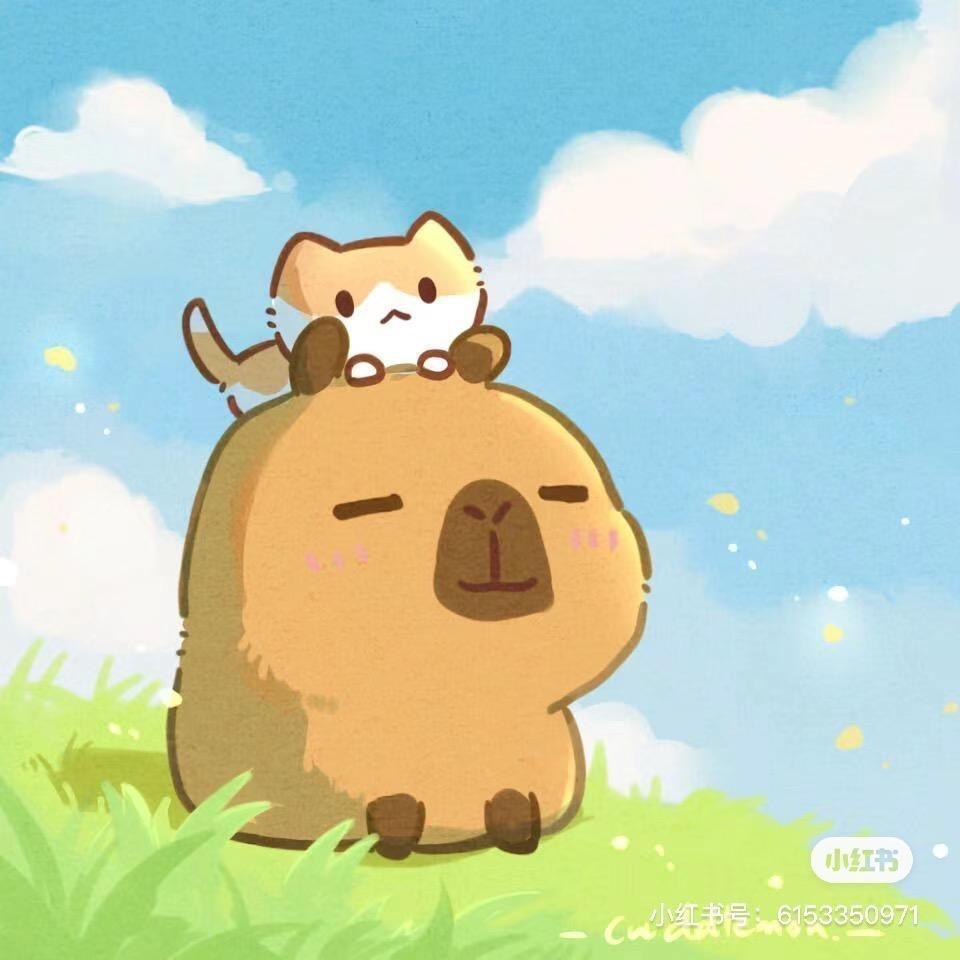 大樱桃就是车厘子