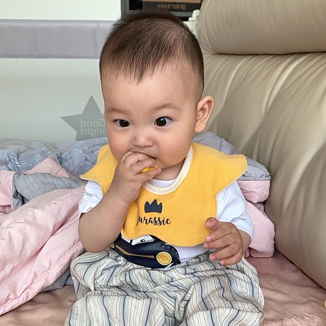 🕊️💋一只小锦李🍁
