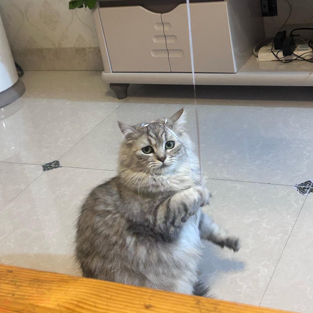 不想长胖