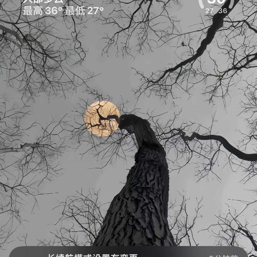 30971452475