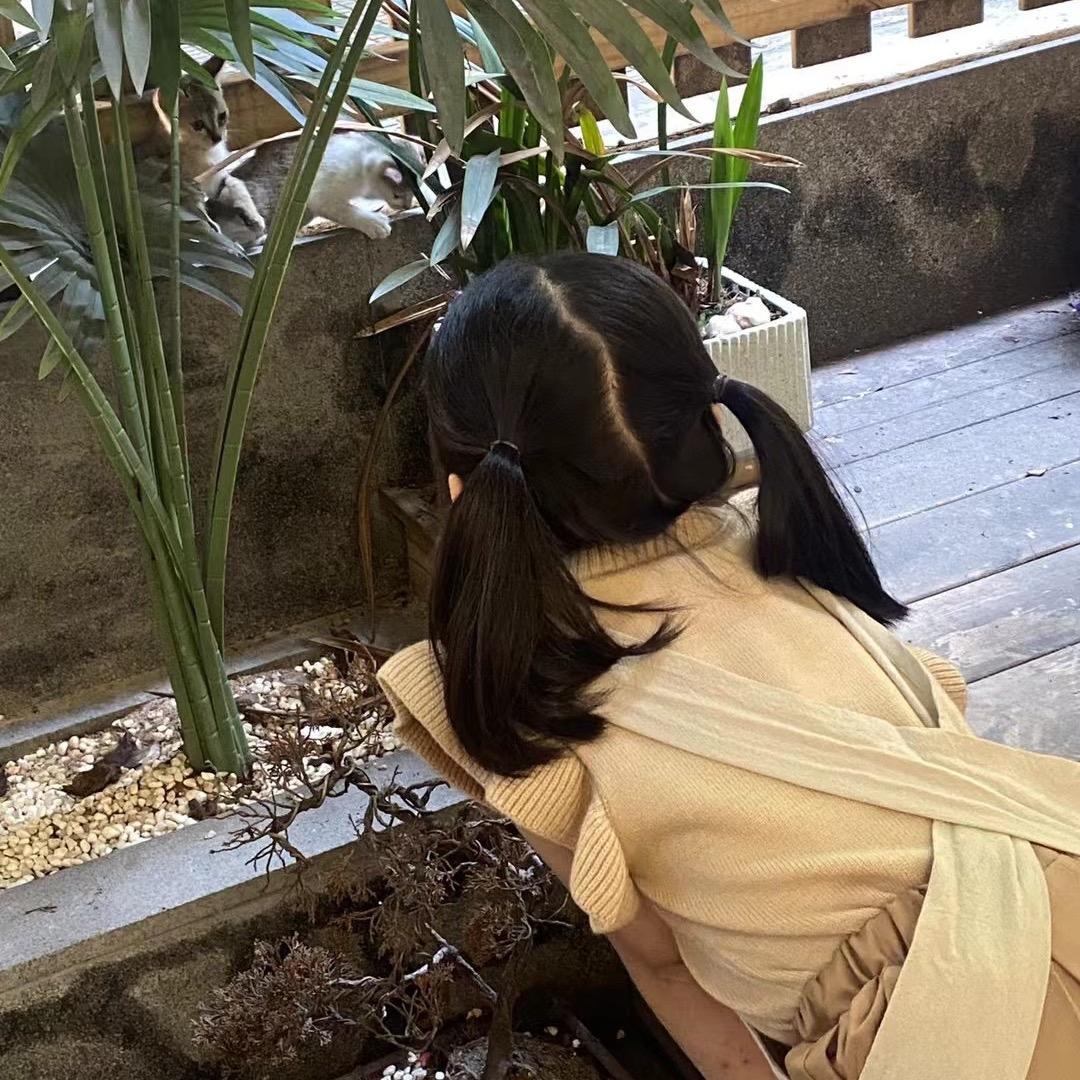 小鑫同学