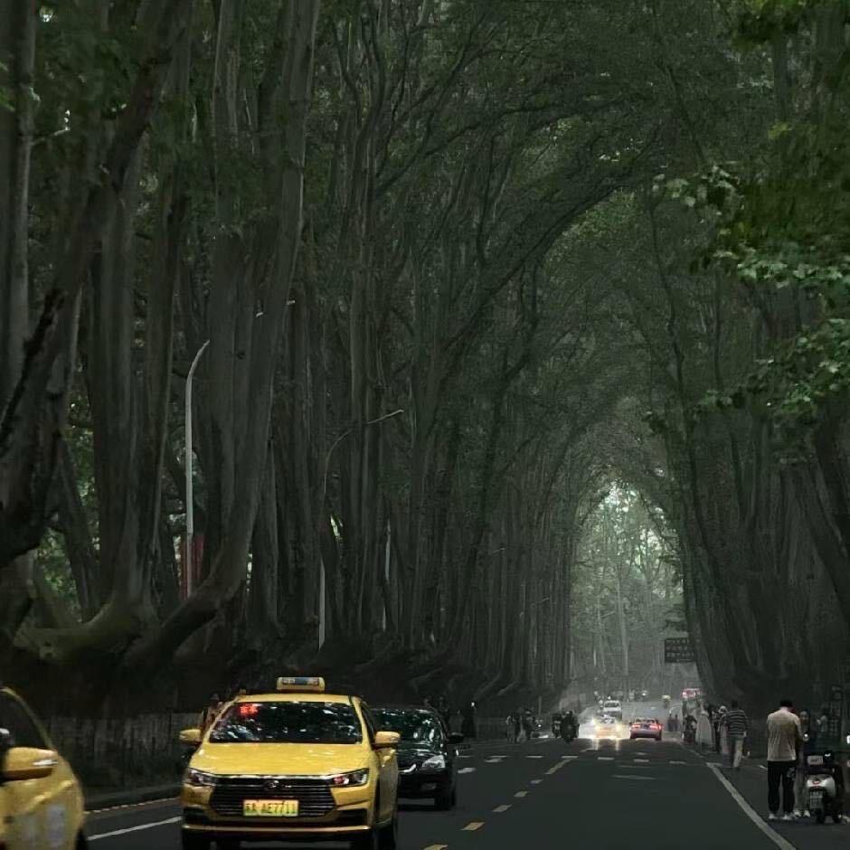 优优景点高校参观预约