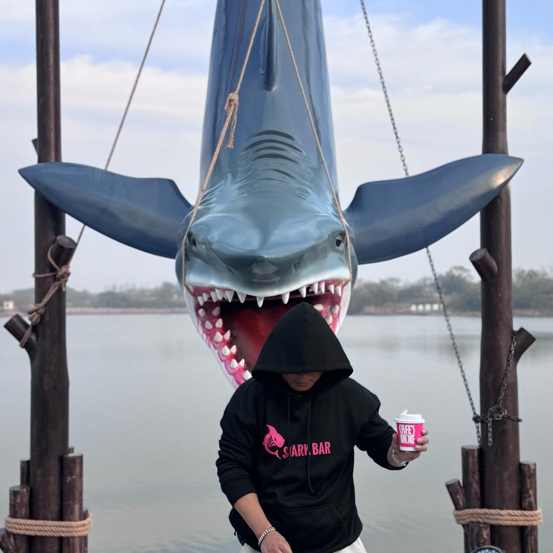 沈三少