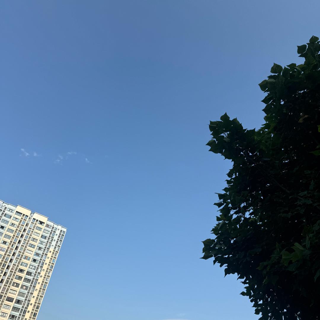 混双