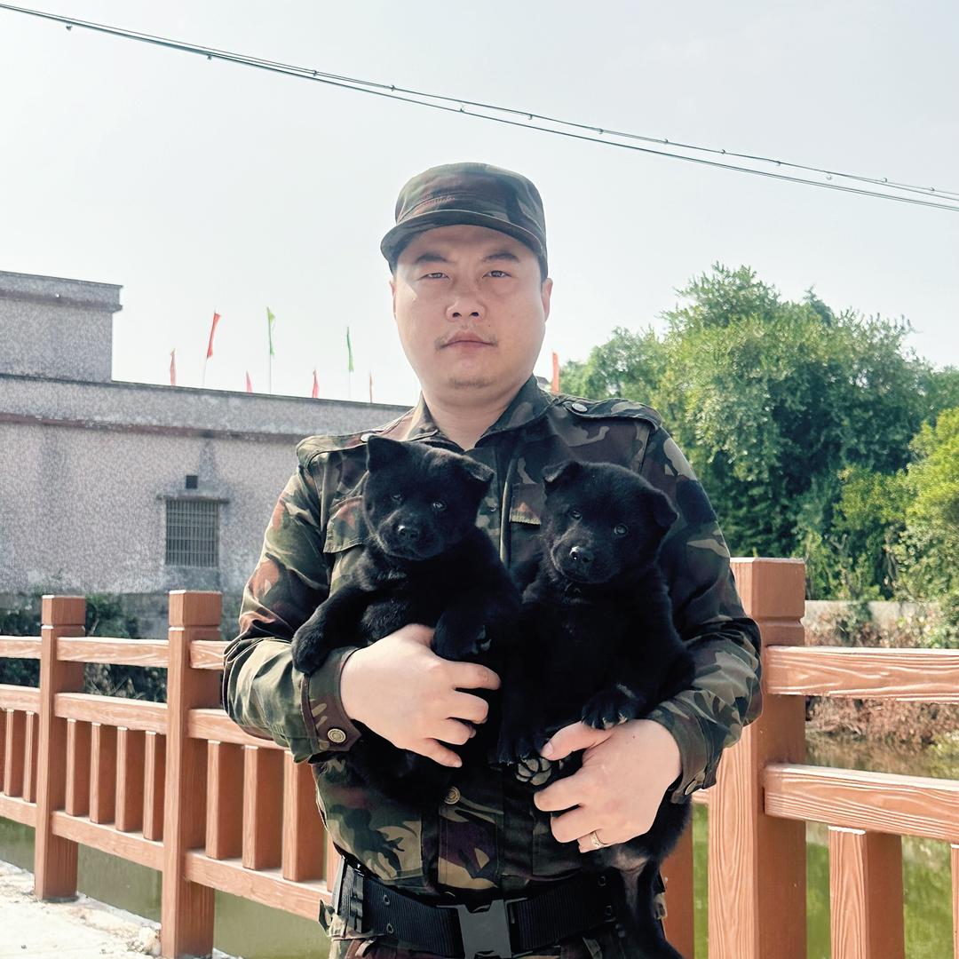 泽众中华田园犬精选店