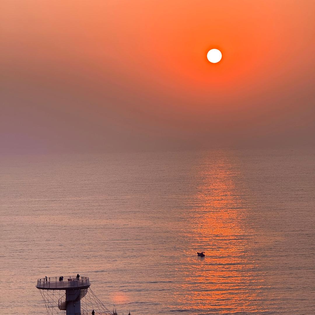 海棠花