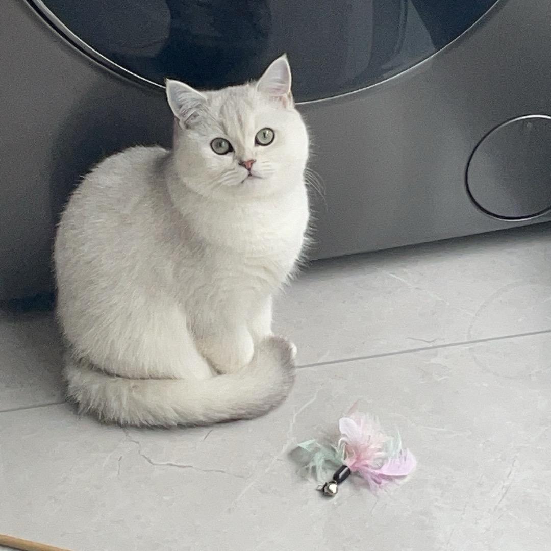 丢丢