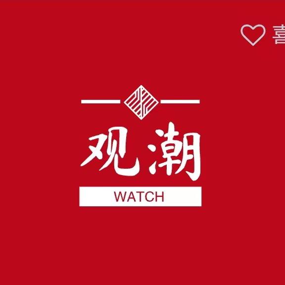 观潮出品