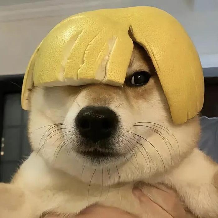 元三（三角洲行动）