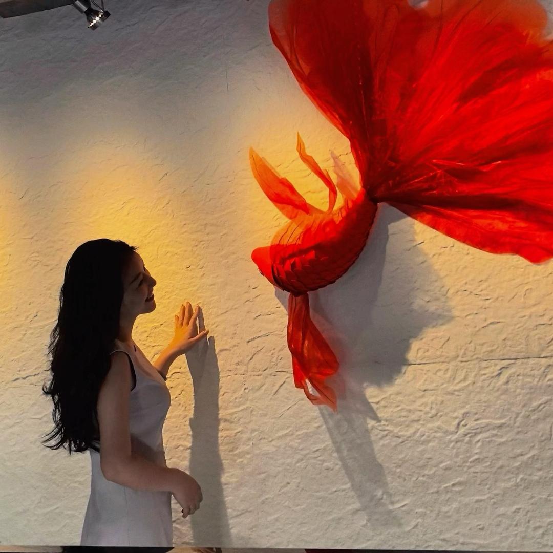 小柒🌞