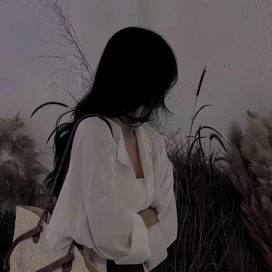 小杨的杨