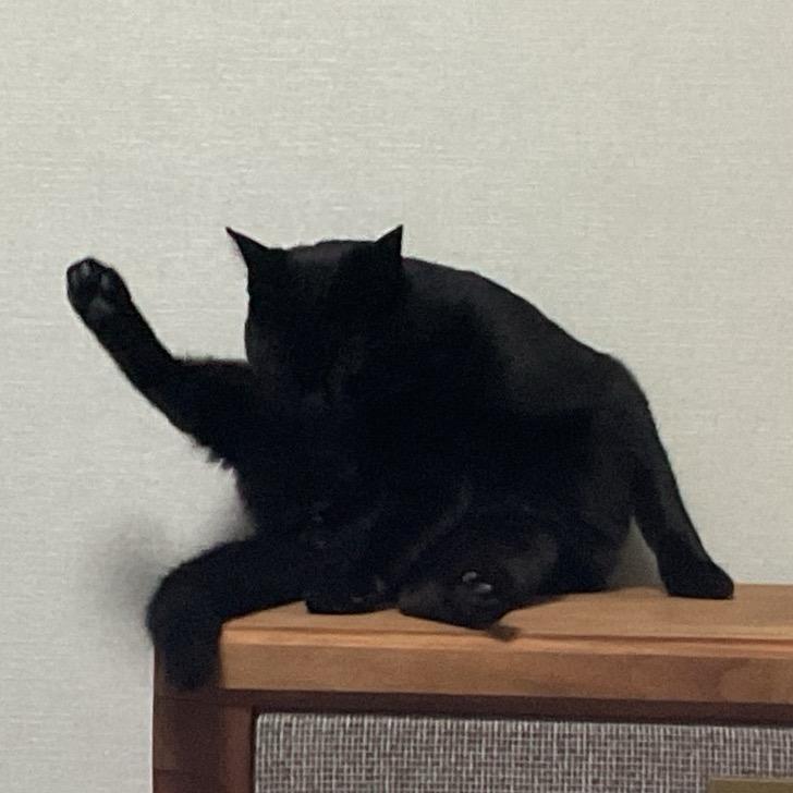 黑白配要吃红袋儿的！！！