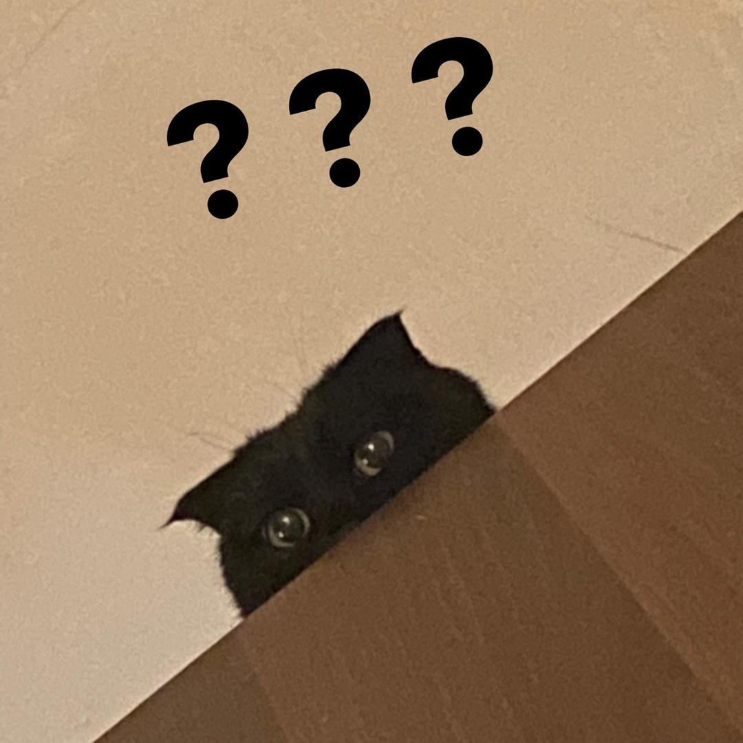 爱生活爱小肥