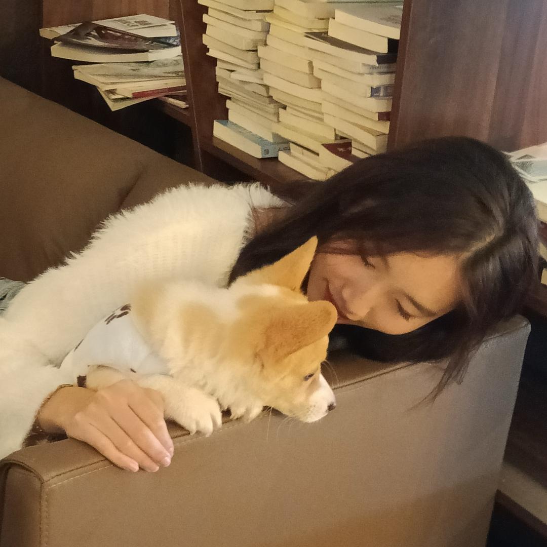 这里是小小小雯.