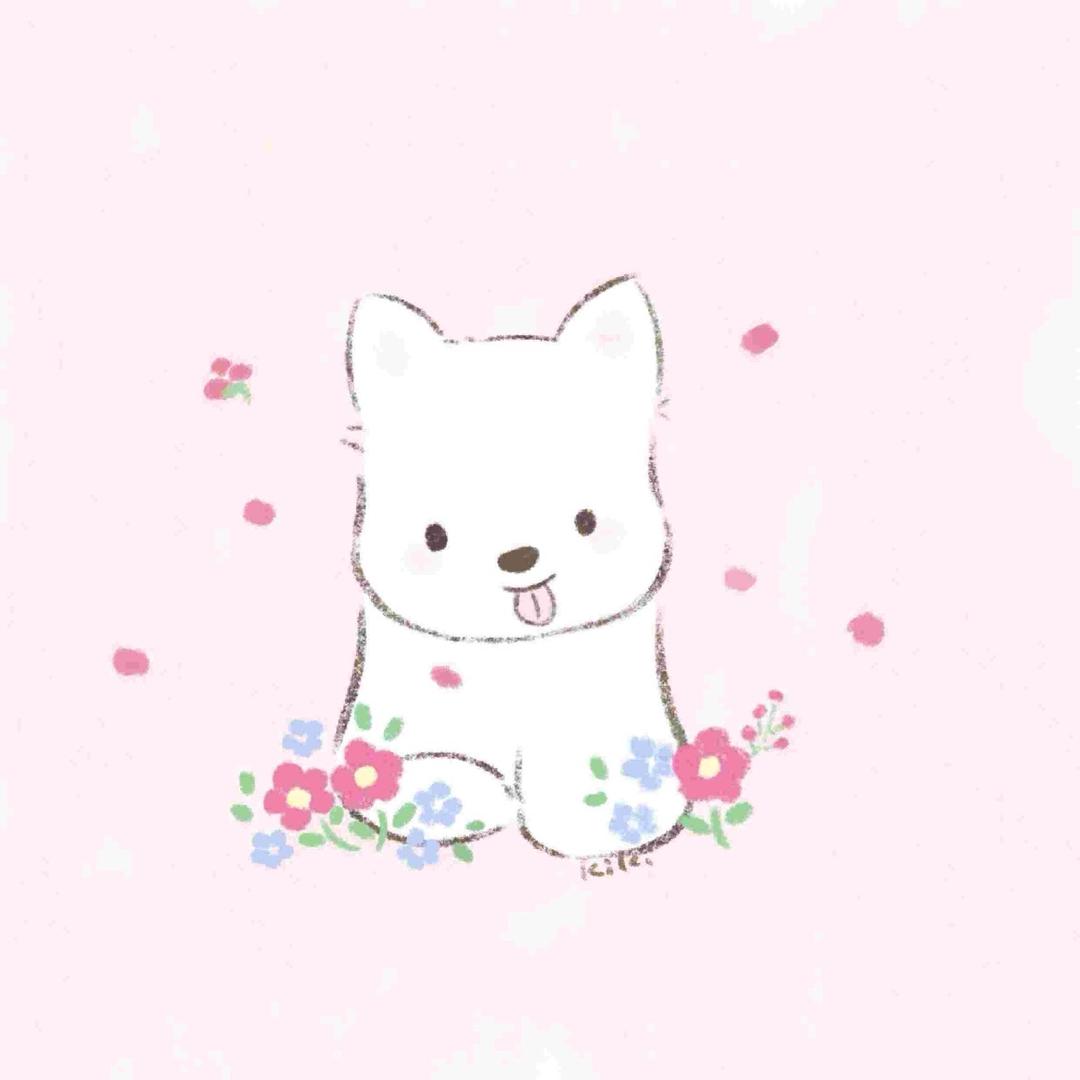 一只为食猫