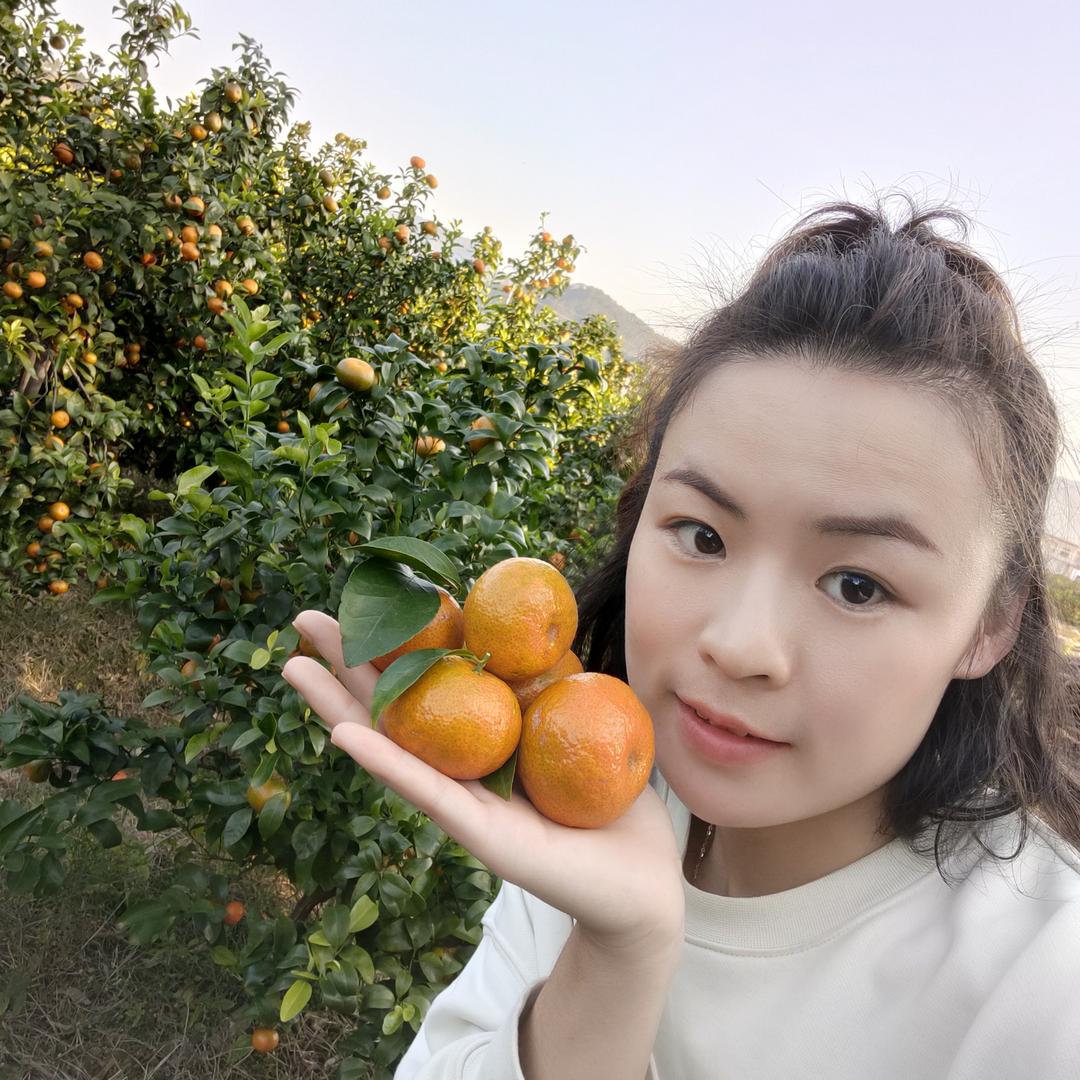 瑞田苗木