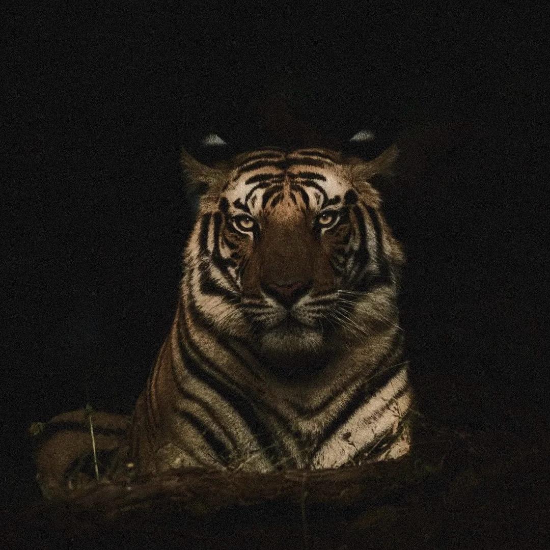 成成